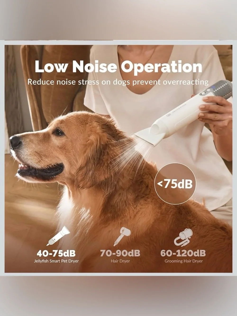 Handheld Powerful Pet Dryer - White